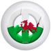 OTB Meyoto Wales Image