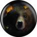 OTB Grizzly Bear Image