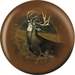 OTB White Tailed Stag Image